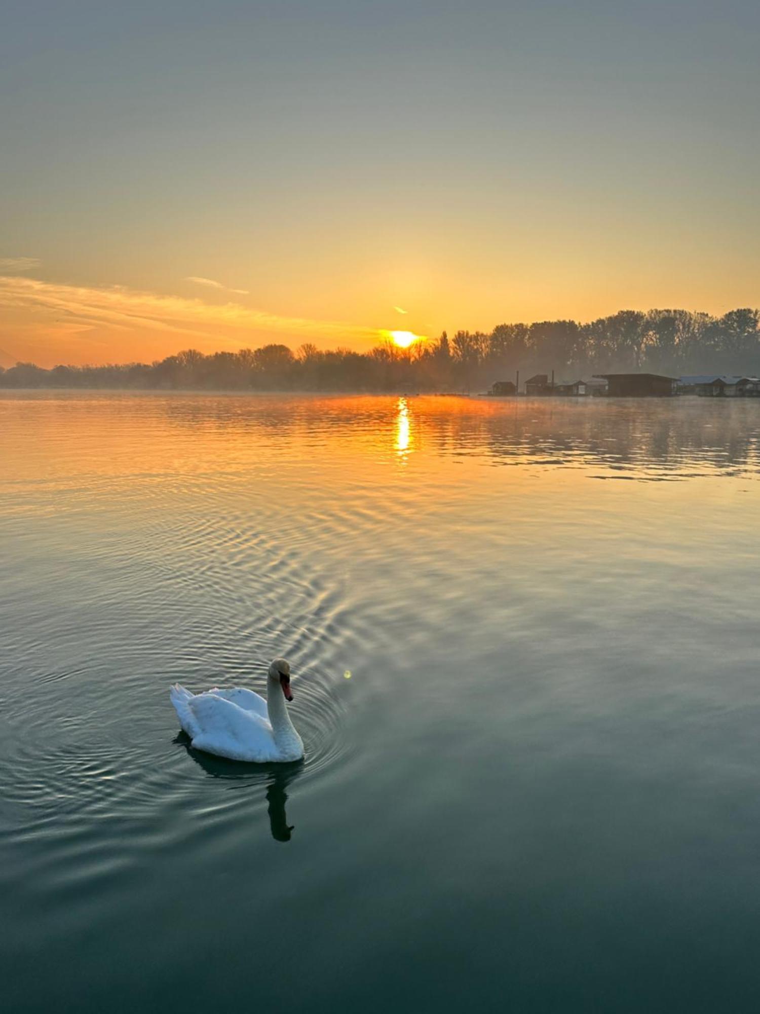 Swan Hotell Beograd Eksteriør bilde